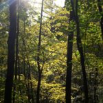 20161021_152822