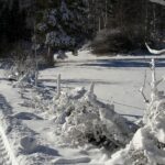 20161229_122902